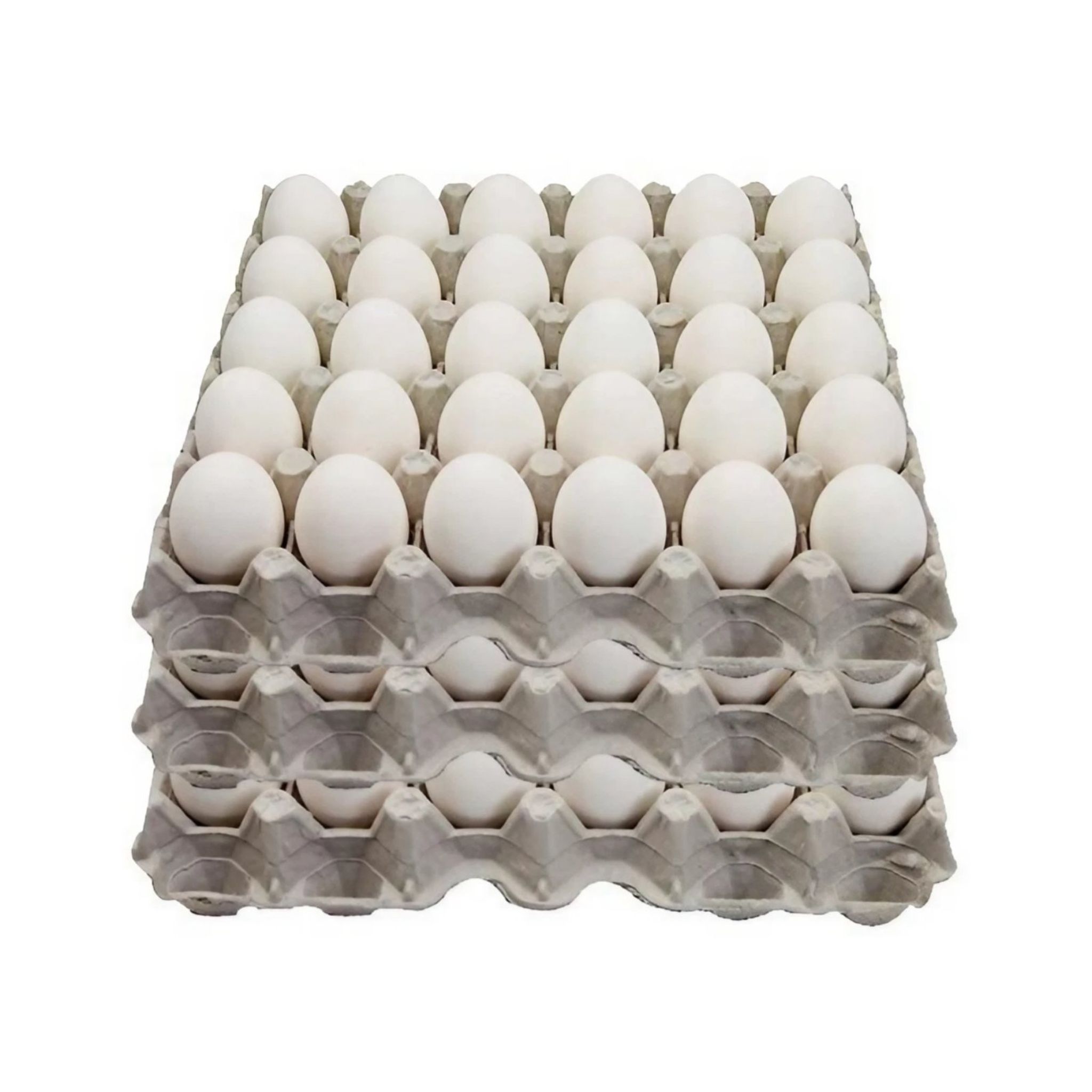 Farm Fresh Eggs Large 30s